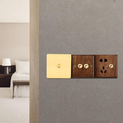 AC250V Schakelschakelaar, metalen paneel Schakelschakelaar 1-gangs 2-weg Power Switch met gouden kleur roestvrij staal paneel en geïsoleerde PC Base