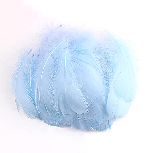 Pak van 100 kleurrijke veren voor ambachten, natuurlijke veren, ganzenveren, Indianen, ambachtelijke veren voor doe-het-zelf kunstwerk, maskers hoeden, oorbellen, haar sieraden, droom catcher, bruiloft, carnaval, partij