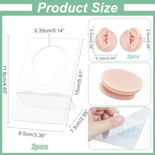 2 stuks Siliconen oor Model met Acryl Stand, Links en Rechts Flexibele Model Piercing Praktijk Realistische Zachte Oorvorm voor sieraden Display Acupunctuur Mannequin Leather