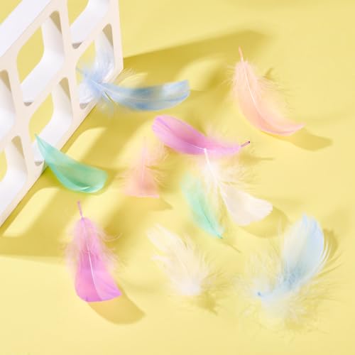 100st Macaron Veren Natuurlijke ganzenveren 3.8-3.5cm Droomvangers Fringe Trim voor bruiloft, Halloween Kleding Bloem Arrangement Carnaval 5