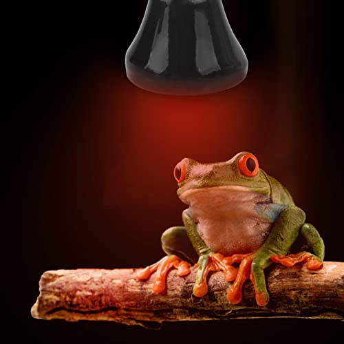 Reptielen Heat Lamp Keramische Emitter Amfibische Verwarming Lamp Mini Infrarood Heat Keramiek voor Hagedissen Reptielen (50W Zwart) 5
