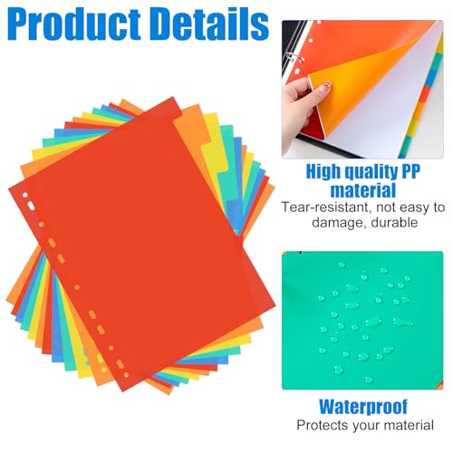 Set van 4 12-delige mappen, tabbladen, plastic, mappen, tabbladen, A4-formaat, 11 gaten, mappen, tabbladen, gekleurde mappen, tabbladen, tabbladen, A4-bandtabbladen voor mappen, mappen 3