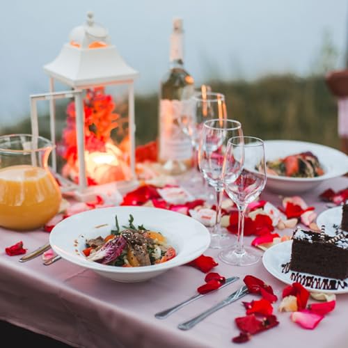 Zijde Rose bloemblaadjes, 200 stuks kunstmatige bloemblaadjes nep rozenblaadjes voor bruiloft gangpad Sprinkle bruidsdouche tafel decor Romantische nacht decoratie, Donkerroze gemengd 5