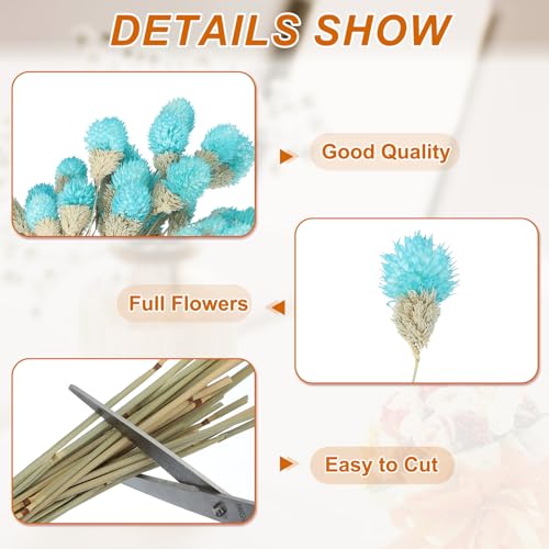 40cm gedroogde bloemen voor vaas, 30st Mini Natuurlijke Pijnboom Globe Bloemen Bulk Boeket Herfst Natuurlijke Gedroogde Pijnboom Bloemen voor thuis, Bruiloft, Bruid, Partij, Sky Blue 3