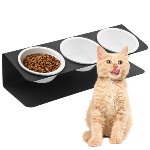 Cat Food Bowl, Raised Dog, 3 Ceramic Bowls, 250 ml, met 15° Helling Metal Stand, Drinkende Bowls voor Water en Voeder, Verhoogde Platen voor Puppies, Kittens, Anti-Medium, Zwart