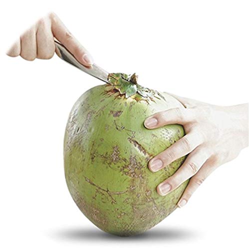 Roestvrij staal Kokosnoot Opener Kokosnootschraper voor vers groen jong kokoswater Open in seconden Super veilig Eenvoudig en snel 3