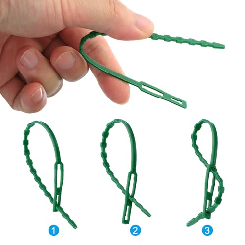 Vines Attachment, 200st Plastic Bonded Buckle Hooks Tuinieren Grapes Ondersteuning Strapping Clips Vaste haak Plant houder voor het beveiligen van druiven bloemen Groenten, Groen 3