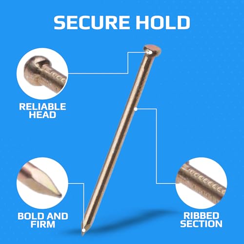 Panel Pins Afwerking Nagels Veneer Pins (verpakking van 100) Geel gegalvaniseerde Nail Gegalvaniseerd Heavy Duty for DIY and Crafts Home Decor Houtwerk Meubels Bouwgrootte: Lengte 60mm Diameter Nagels 2.5mm