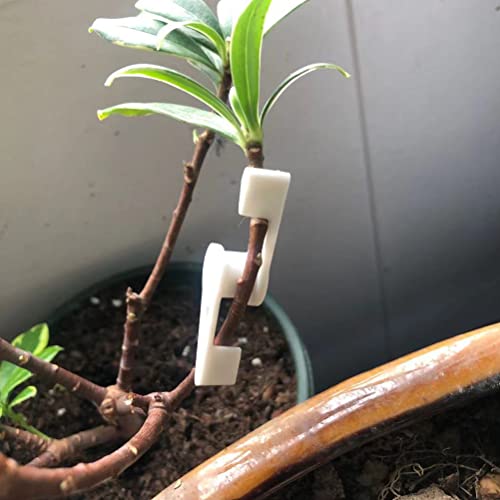 Plant Bender Clips, 30 Stuks 360 graden verstelbare Hoek Plant Groei Clips Plant Stam Trainer Clips Plant branches Bender voor lage stress Trainer Planten 4