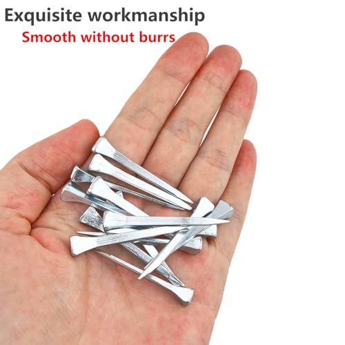 60 stuks Horse Horseshoe Nails, E5 (51mm) Paardenschoenen Paardengereedschap Accessoires voor Paardengereedschap, Paardenschoen Nagels voor Paardenrennen, Paarden, Paardensport 4