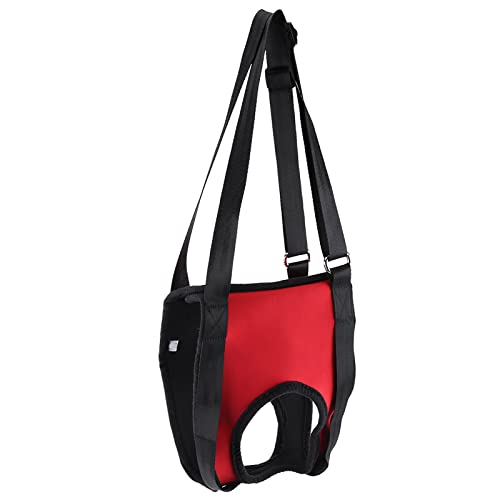 Hondenondersteuning, Pet Walk Out Aid Lifting Pull Vest Sling Support Revalidatie Outdoor en Gezonde Grooming Tool voor Oude en Gewonde Honden (M, Front Leg)