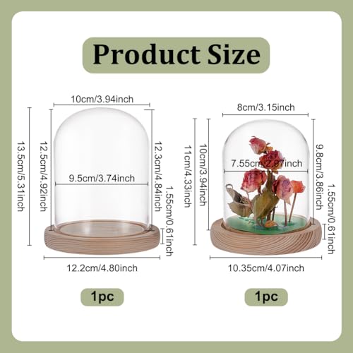 2Stuks 2 Styles Glazen Display Dome Cloche, Eternal Flower Glass Dome Cloche Decoratieve Bell Jar met houten Base voor bruiloft Decor Examples Crafts Party Favors