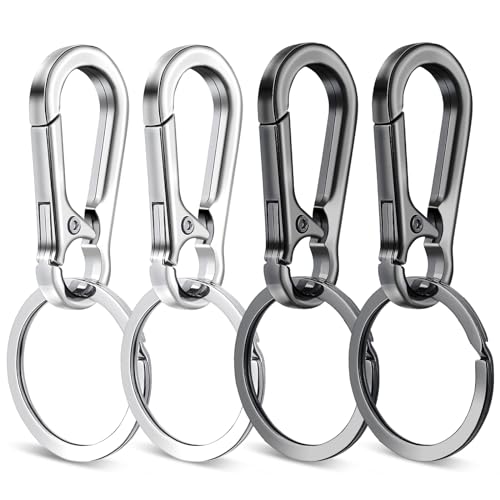 4 st. Karabiner haken kleine karabijnen Clip Mini Sleutelkarabiner Ketting karabijnhaak voor Charm, Autosleutelring, Mannen en Vrouwen Keychain (Zwart, Zilver)