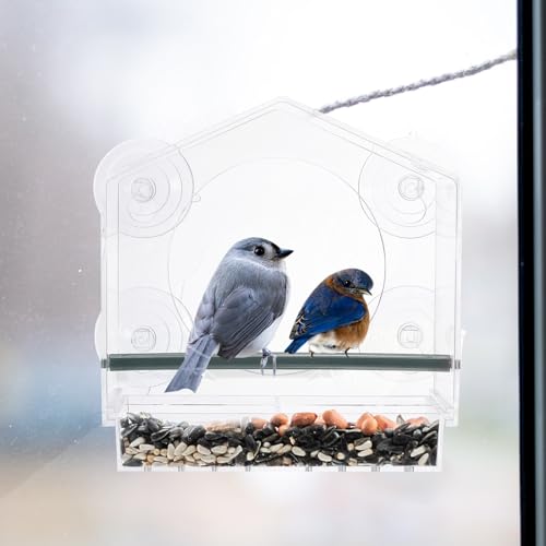 Buiten Vogelvoeder 20 x 10 x 20 cm, Acryl Bird Huizen met 4 Sterke Zuigbekers voor Buiten Vogels, Transparant 4
