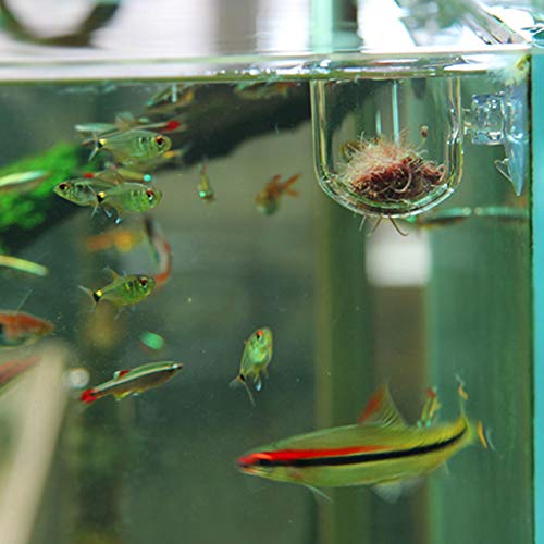 Voeden Container Aquarium Voederbeker, Aquarium Voeder, Aquarium Vissen voor Kleine Tropische Vis Houeshold voor Waterwormen(Glas gap cup) 5