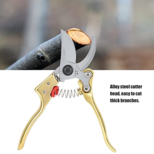 Snoeischaar 210 x 55 mm Gouden Fruitschaar Planten Tang Handschaar Bypass Schaar Schaar met anti-slip tanden Grooves voor tuin en landbouw 3