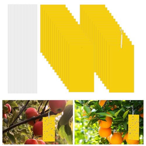 30 st Gele Begrafenis Gnats Control Stickers Vlieg Trap Gele Lijm Trap Schimmel Gnats Control Voor, Gele Panelen voor Binnen Planten, Ongediertebestrijding