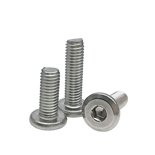 Set van 10 RVS platte kop Hex Schroeven (M6 x 50mm)