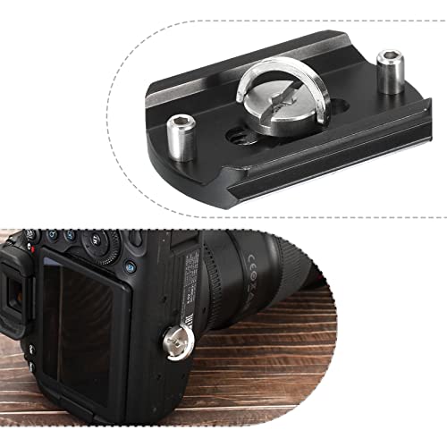 1/4-20 Thread 12mm Lengte D-Ring Roestvrij stalen camera Montage Schroeven, 2 Pack D As Quick Release Plate Schroef voor Camera Tripod/Monopod, Zilver 5