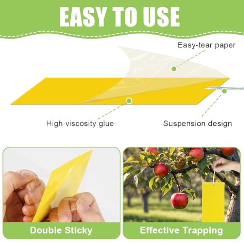 30 st Gele Begrafenis Gnats Control Stickers Vlieg Trap Gele Lijm Trap Schimmel Gnats Control Voor, Gele Panelen voor Binnen Planten, Ongediertebestrijding 3