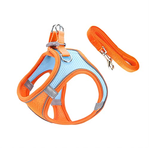 Kattentuig met riem, Reflectief Comfortabel verstelbaar Kattentuig voor Katten Anti Spout Katvest voor Wandelen, Joggen - L