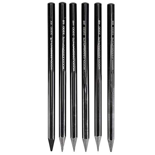 Set van 6 Charcoal Drawing Pens Professionele Sketch Pencils in HB tot 8B met Shatterproof Graphite Core en Houten Shaft voor kunstenaars, Architecten en studenten