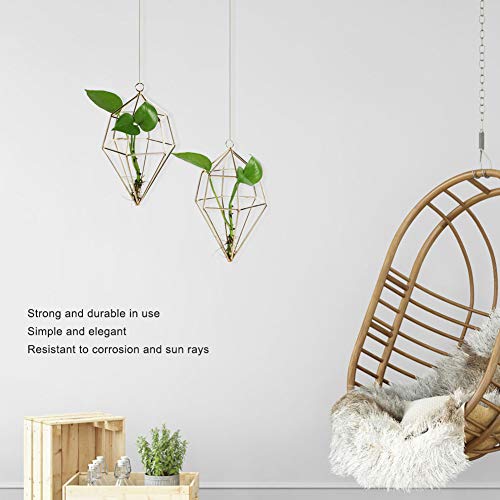 Hangende Planthouder, Geometrische Plant Hangende Plank, Bloempot, Hangende Houder, Metaal Plant Hanger, Hangende Plant Houder voor Home Decoratie 4