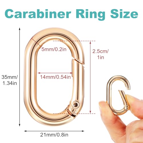 10 stuks Ovale lente karabijnhaak haken, metalen ring karabijnen, kleine gesp, lente, sleutelhanger, Legering karabijnhaak Clip voor rugzak, portemonnee, Car(Gold) 5