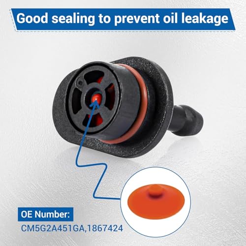 Zeeautomobiel Vacuümpomp Controleer Valve Vervanging Compatibel voor Fard Transit/Tourneo Courier/B-Max CB2 5