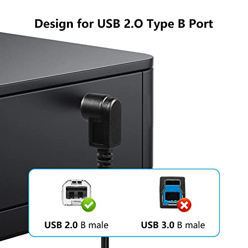 2st USB B naar USB-C Printerkabel, USB 2.0 Type-C naar Type-C Kabel Compatibel met Printer, MIDI Controller, MIDI Keyboard en meer (Type B (Down))
