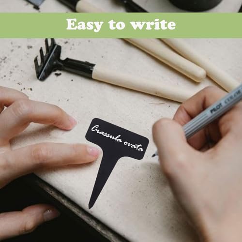 Verpakking van 120 plantenborden voor het schrijven, outdoor plantenborden, weerbestendig, 6 x 10 cm, T-type, weerbestendig, plastic, geschikt voor tuin, fruittuin, groenten, fruit en naametiketten met 4