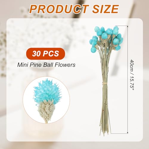 40cm gedroogde bloemen voor vaas, 30st Mini Natuurlijke Pijnboom Globe Bloemen Bulk Boeket Herfst Natuurlijke Gedroogde Pijnboom Bloemen voor thuis, Bruiloft, Bruid, Partij, Sky Blue