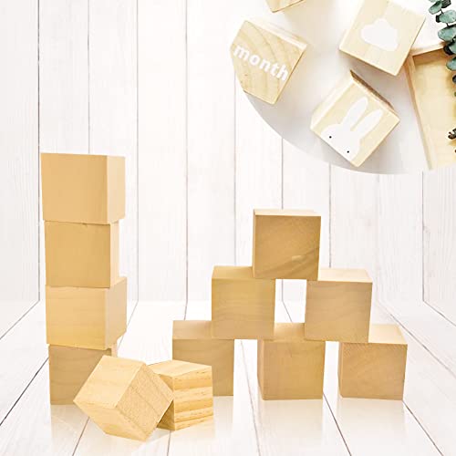 12 stukken kalk houtsnijblokken, 5 x 5 x 5 cm, grote houten blokjes, natuurlijke snijblokken, onvoltooide gladde houten blokjes voor DIY snijden, vormen, schilderen