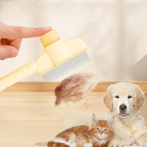 4 stuks kattenhaarborstel, 2 kleuren ABS + roestvrij staal Materiaal bontborstel Kat ABS + roestvrij staal Materiaal Flash borstel met ontspanning Knob, kattenbont borstel, voor honden en 5