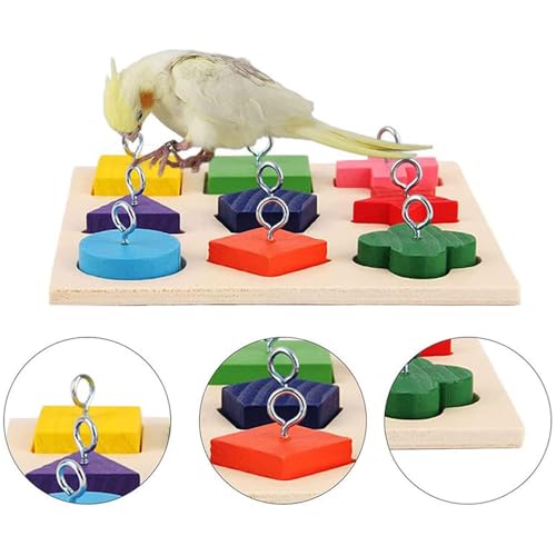 Zee 4 st. Parrot Chew Bird Baubles Ring Basketbal Hoop Skateboard Set voor Parakeets Cockatiels Parakeets, Bird To-y Accessoires