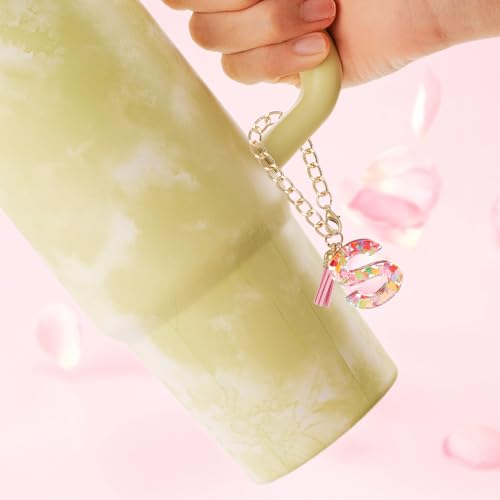 Brief Charm voor Stanley Cup, leuke eerste N Charm Accessoires voor Stanley Tumbler Handle Keychain Gepersonaliseerde Charm voor vrouwen, Roze 5