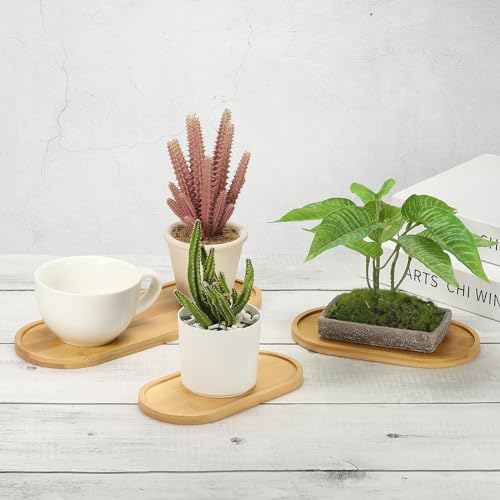 Bamboe Houten Saucer, 20x10cm Rechthoekige Houten Plant Drainer Bonsai Planten Dish Succulent Plant Pot voor Home Balkon 5