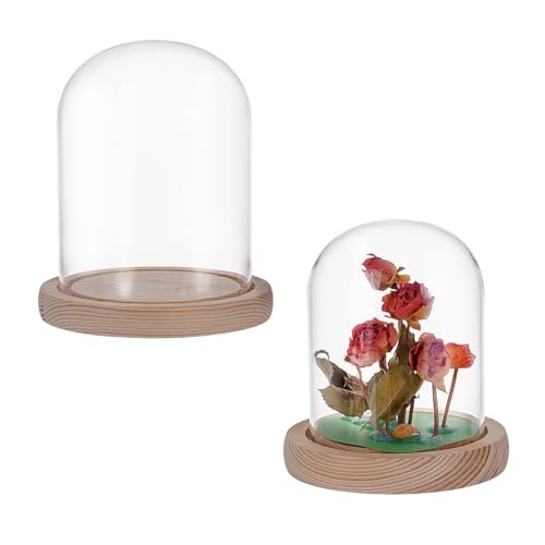 2Stuks 2 Styles Glazen Display Dome Cloche, Eternal Flower Glass Dome Cloche Decoratieve Bell Jar met houten Base voor bruiloft Decor Examples Crafts Party Favors