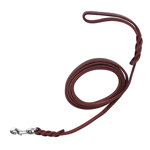 Hondenriem - Duurzame leren riem voor wandelen, hardlopen en trainen - Geschikt voor kleine tot middelgrote honden (De materiaallengte is 1,5 meter en de nettolengte) 3