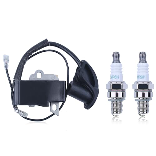 Bobinemodule voor Stihl BR500 BR550 BR600 bladblazer, met 2 bougies
