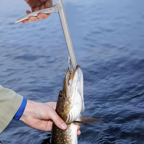 Fishing Hook Remover Tool Roestvrij staal Vissen Tang Vis Tang Haak Verwijderaar Demilator Hook Extractor Zoetwater Zoutwater Vissen Tackle 28cm 4