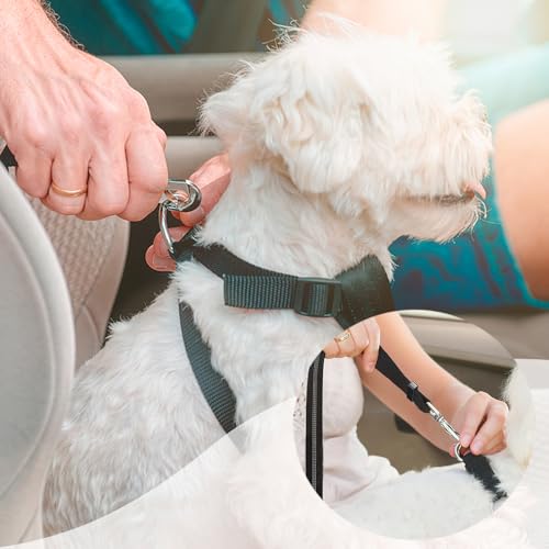 2 st. Verstelbare hondenwagen veiligheidsgordel, Nylon Elastische hondentuig, duurzame veiligheidsgordel Clip Lead Pet Car Harnas Clip 360° Draaibare veiligheidsgordels voor dieren 4