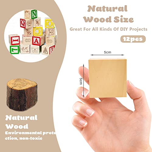 12 stukken kalk houtsnijblokken, 5 x 5 x 5 cm, grote houten blokjes, natuurlijke snijblokken, onvoltooide gladde houten blokjes voor DIY snijden, vormen, schilderen