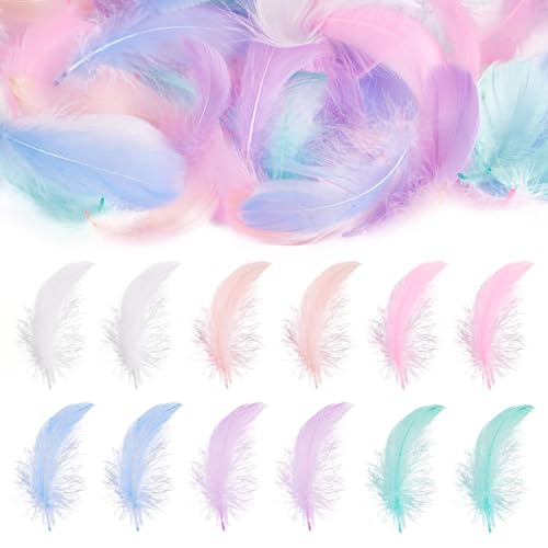 100st Macaron Veren Natuurlijke ganzenveren 3.8-3.5cm Droomvangers Fringe Trim voor bruiloft, Halloween Kleding Bloem Arrangement Carnaval