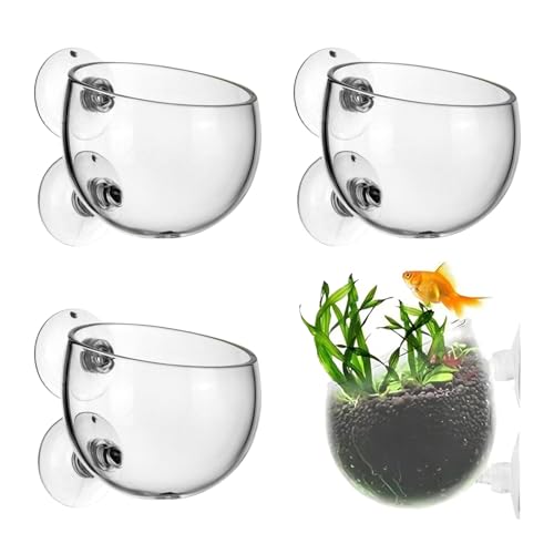 4 x Aquarium Plant Vases, 6 x 7 cm, Transparante Vaas voor Aquatische Planten met 8 Zuigbekers, Garnalen Voederbekers, Mini Glazen Bekers voor Aquascape, Hydroponische Planten, Decoratieve