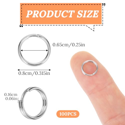Pakket van 100 kleine sleutelhangers, dubbele lus roestvrij staal Split ringen Mini Sleutelhanger, metalen ring connector voor sieraden, oorbellen, ketting, armbanden en ambachten (8mm)