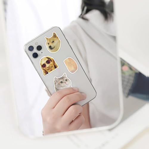 Grappige Meme Sticker set voor kinderen tieners, 200 stuks Meme waterdicht Vinyl Stickers Laptop Skateboard Kofferhelm Autofiets mobiele telefoon Scrapbook voor motorfietsen Cadeaudagboek 4