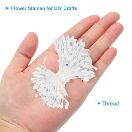 2.5mm Dubbele hoofd Bloem Stamen, 680Stuks Kunstbloem Stamen Pistil Matte Parel Bloemen Stamen voor DIY kerstkaart bruiloft decoratie, wit 3
