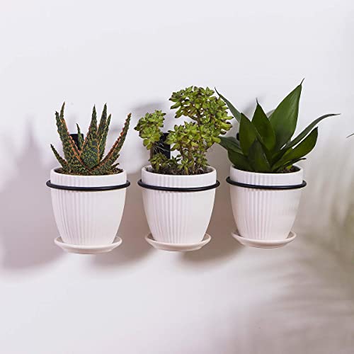 3 st. 6 inch Wall Mount Planter houder bloempot Ring Wall Bracket voor opknoping plant bloem pot 4