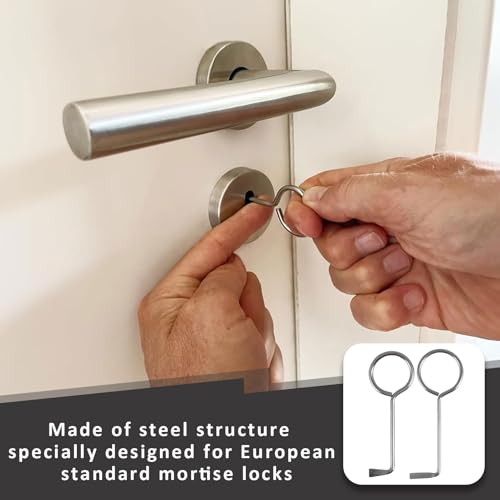 Dietrich Professional Fur baard sleutels, Professionele Dietrich Set, Roestvrij staal Universele sleutel voor kamerdeuren, Key Service, Deuropener, Sleutel voor kleurrijke 4